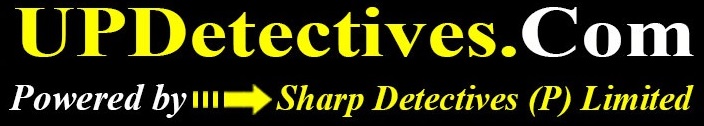 up detectives logo